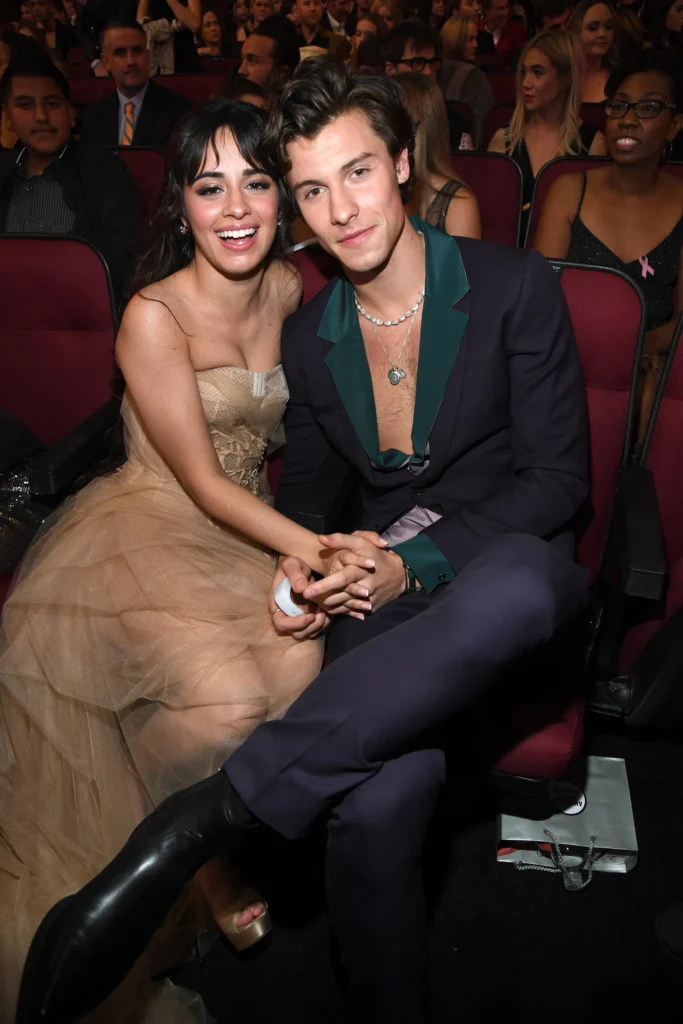 Shawn Mendes and Camila Cabello at an award show