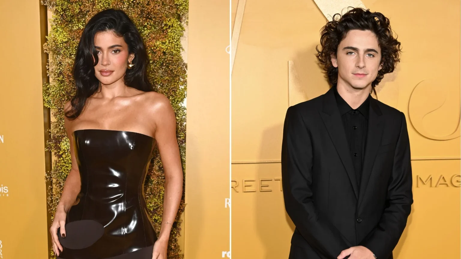 Kylie Jenner and Timothée Chalamet